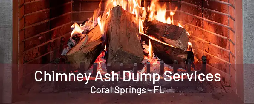 Chimney Ash Dump Services Coral Springs - FL